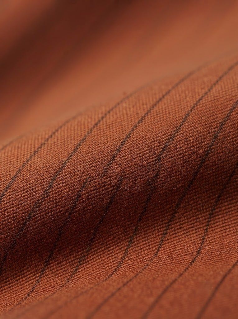 Earthy Rust Pinstripe Chino — view 5